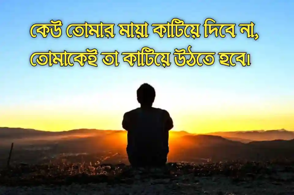 ১৯৯+ মায়া নিয়ে উক্তি ২০২৬ | মায়া নিয়ে স্ট্যাটাস, ক্যাপশন ও মেসেজ 2 মায়া-নিয়ে-উক্তি-স্ট্যাটাস