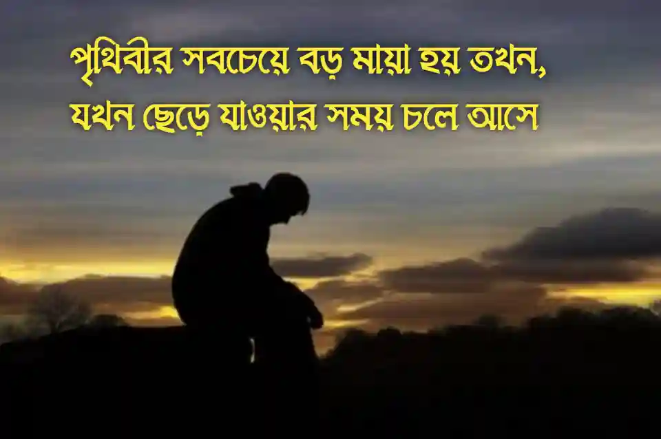 মায়া-নিয়ে-উক্তি-স্ট্যাটাস