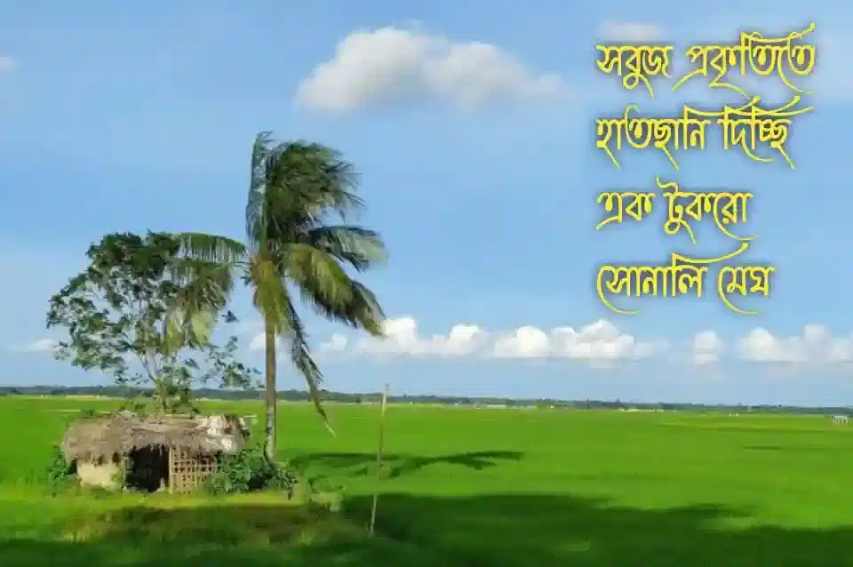 প্রকৃতি নিয়ে ক্যাপশন, কবিতা, স্ট্যাটাস ও উক্তি