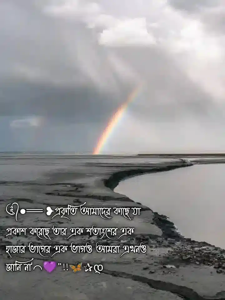 প্রকৃতি নিয়ে ক্যাপশন, কবিতা, স্ট্যাটাস ও উক্তি