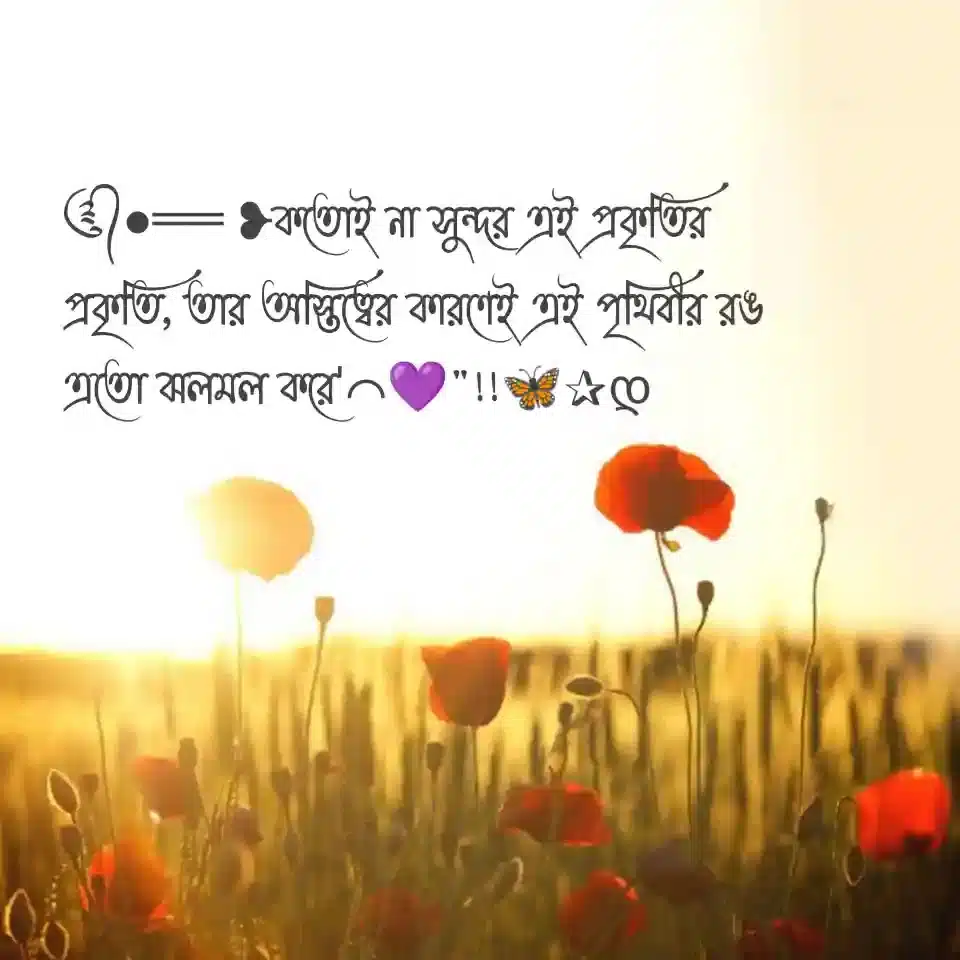 প্রকৃতি নিয়ে ক্যাপশন, কবিতা, স্ট্যাটাস ও উক্তি