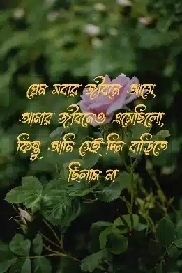 নিজেকে নিয়ে স্ট্যাটাস, ক্যাপশন, উক্তি ও কিছু কথা