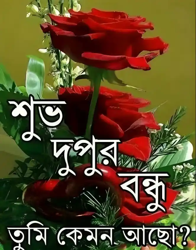 শুভ দুপুর বেলার শুভেচ্ছা, ছবি, স্ট্যাটাস ডাউনলোড 2025 » Technical Bro BD