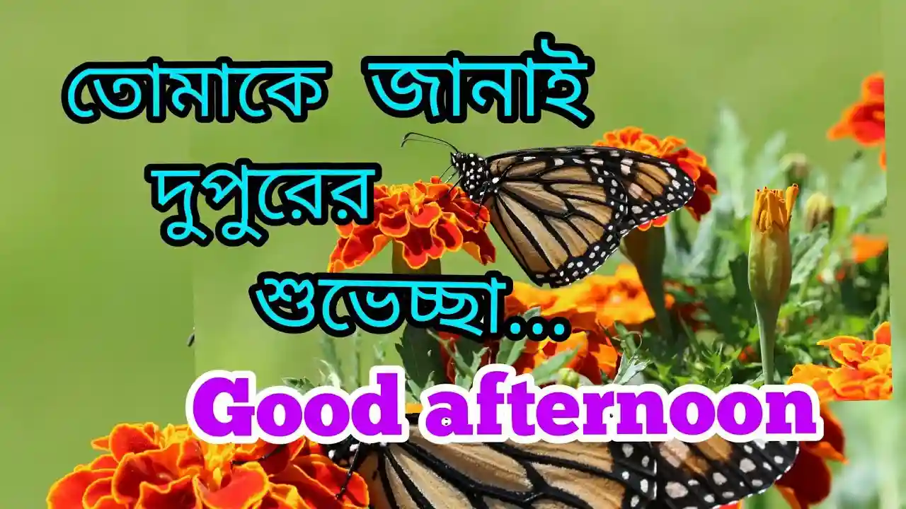 শুভ দুপুর বেলার শুভেচ্ছা, ছবি, স্ট্যাটাস ডাউনলোড 2025 » Technical Bro BD