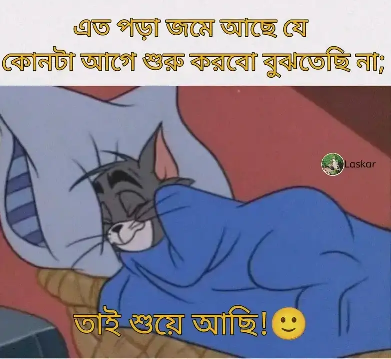 বাংলা স্ট্যাটাস পিকচার ডাউনলোড