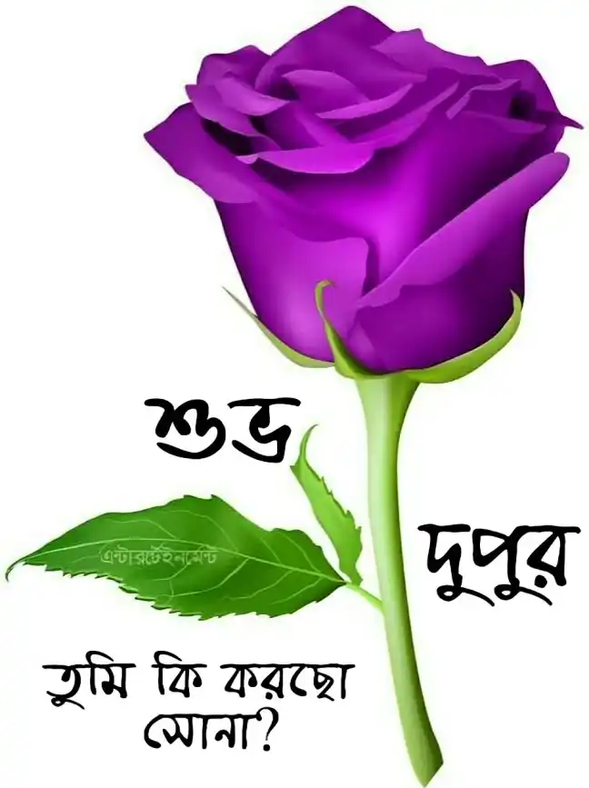 শুভ দুপুর বেলার শুভেচ্ছা ছবি - শুভ দুপুর রোমান্টিক ছবি