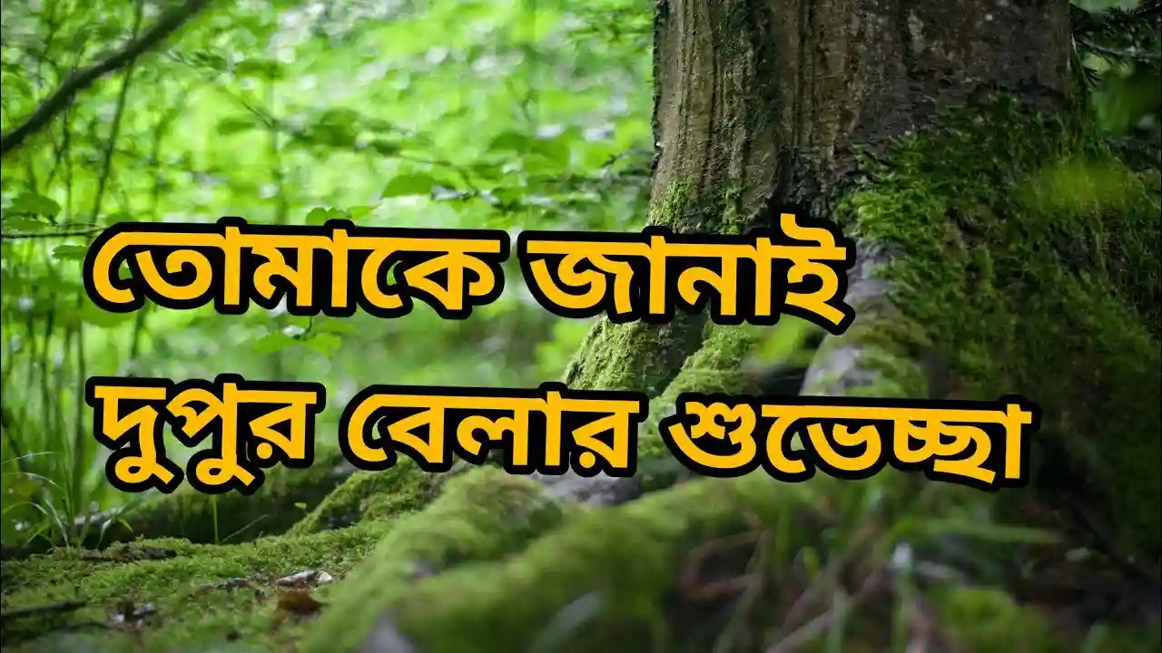 শুভ দুপুর বেলার শুভেচ্ছা ছবি - শুভ দুপুর রোমান্টিক ছবি