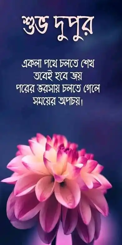 শুভ দুপুর বেলার শুভেচ্ছা ছবি - শুভ দুপুর রোমান্টিক ছবি